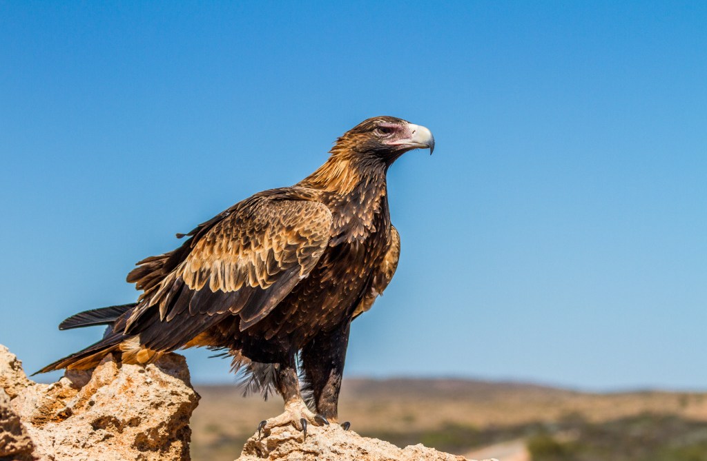 Chapter Thirteen – The&nbsp;Beneficiary